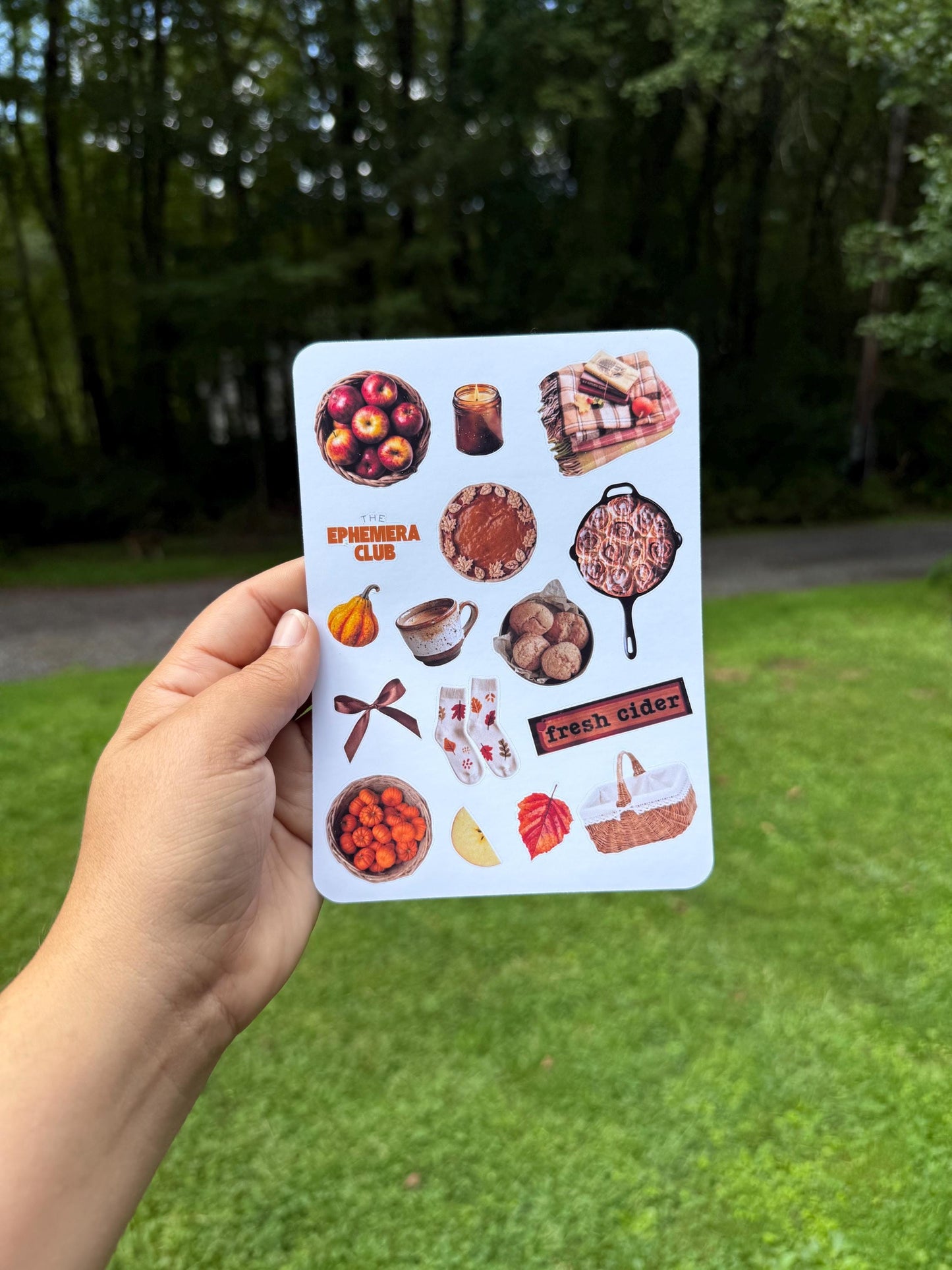 Fall Favorites Sticker Sheet – Cozy Autumn Stickers for Journaling, Scrapbooking & Planners