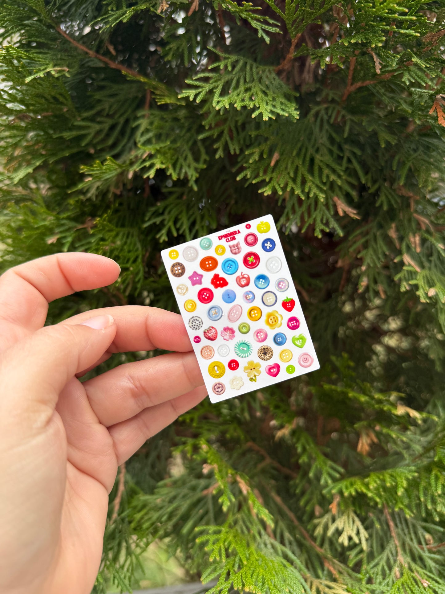 Mini Sticker Sheets Vol. 1 | 5x7 Matte | Mini Collection
