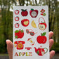 Apple Aesthetic Sticker Sheet • Red Apple Stickers • Fall Stickers for Junk Journaling • Cute Scrapbook Stickers • Planner Stickers