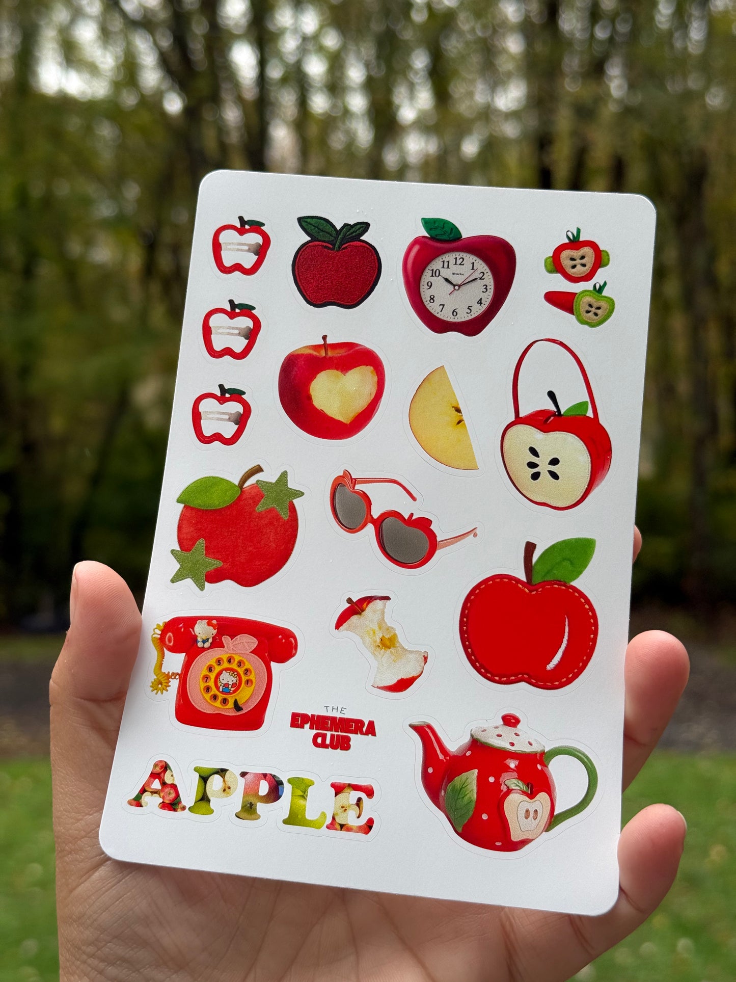 Apple Aesthetic Sticker Sheet • Red Apple Stickers • Fall Stickers for Junk Journaling • Cute Scrapbook Stickers • Planner Stickers