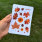 Autumn Leaves Botanical Sticker Sheet – Fall Stickers