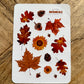 Autumn Leaves Botanical Sticker Sheet – Fall Stickers