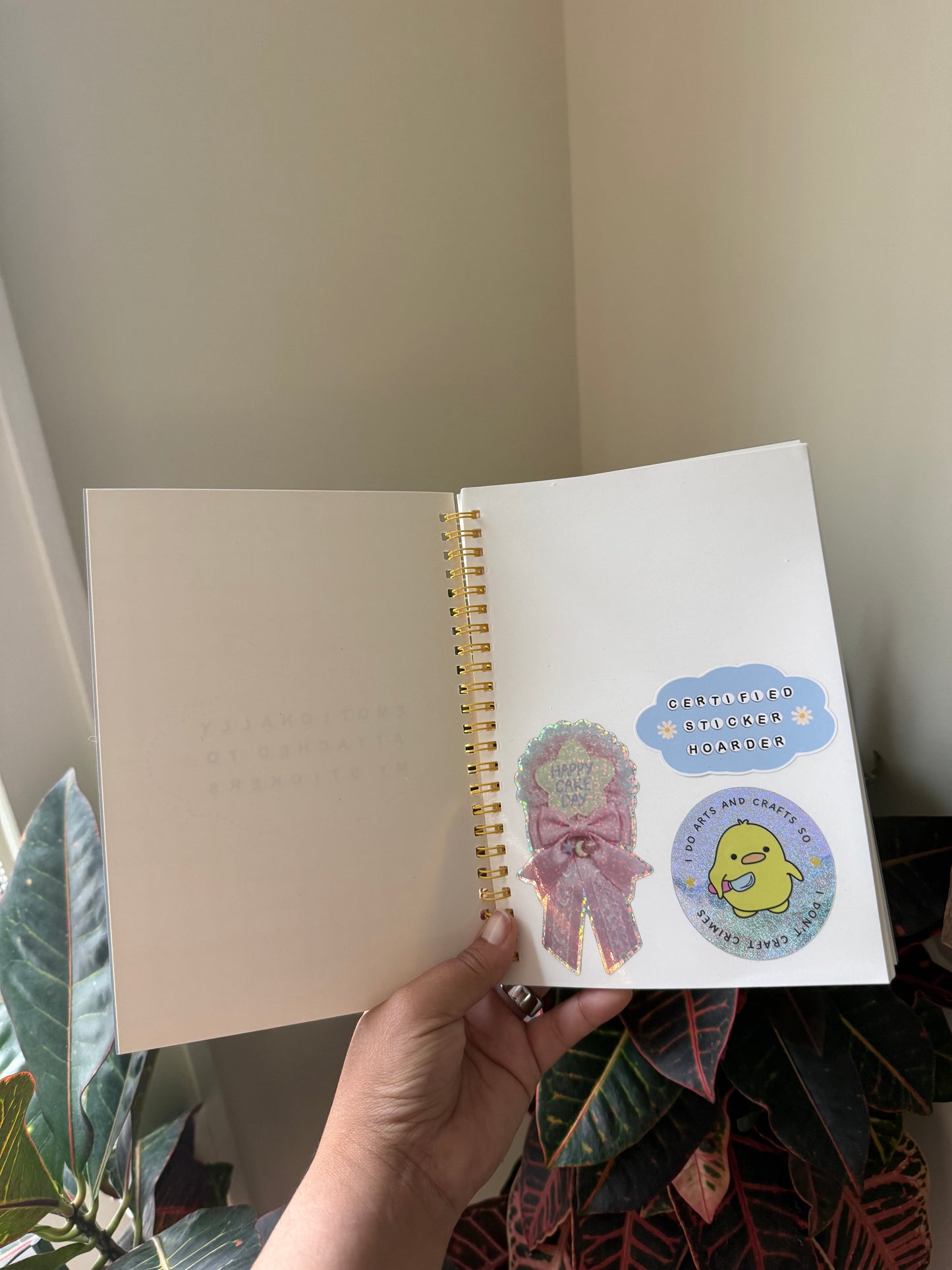 Emotionally Attached to My Stickers – Reusable A5 Sticker Book
