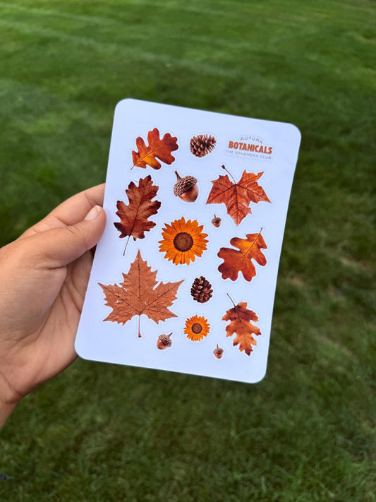 Autumn Botanical Sticker Sheet – Fall Leaves, Acorns & Pinecones Stickers for Scrapbooking, Journaling, Planners