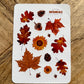Autumn Botanical Sticker Sheet – Fall Leaves, Acorns & Pinecones Stickers for Scrapbooking, Journaling, Planners