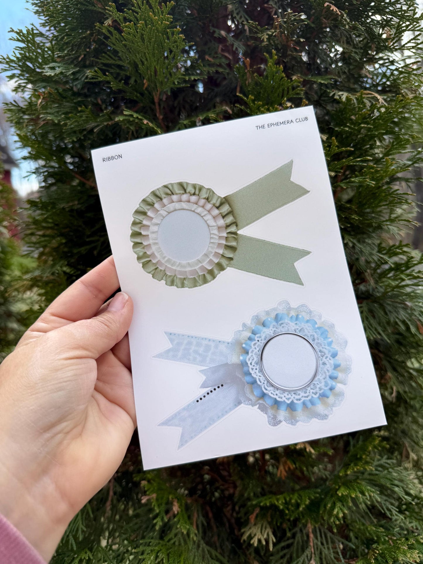 Ribbon Label Sticker Sheet
