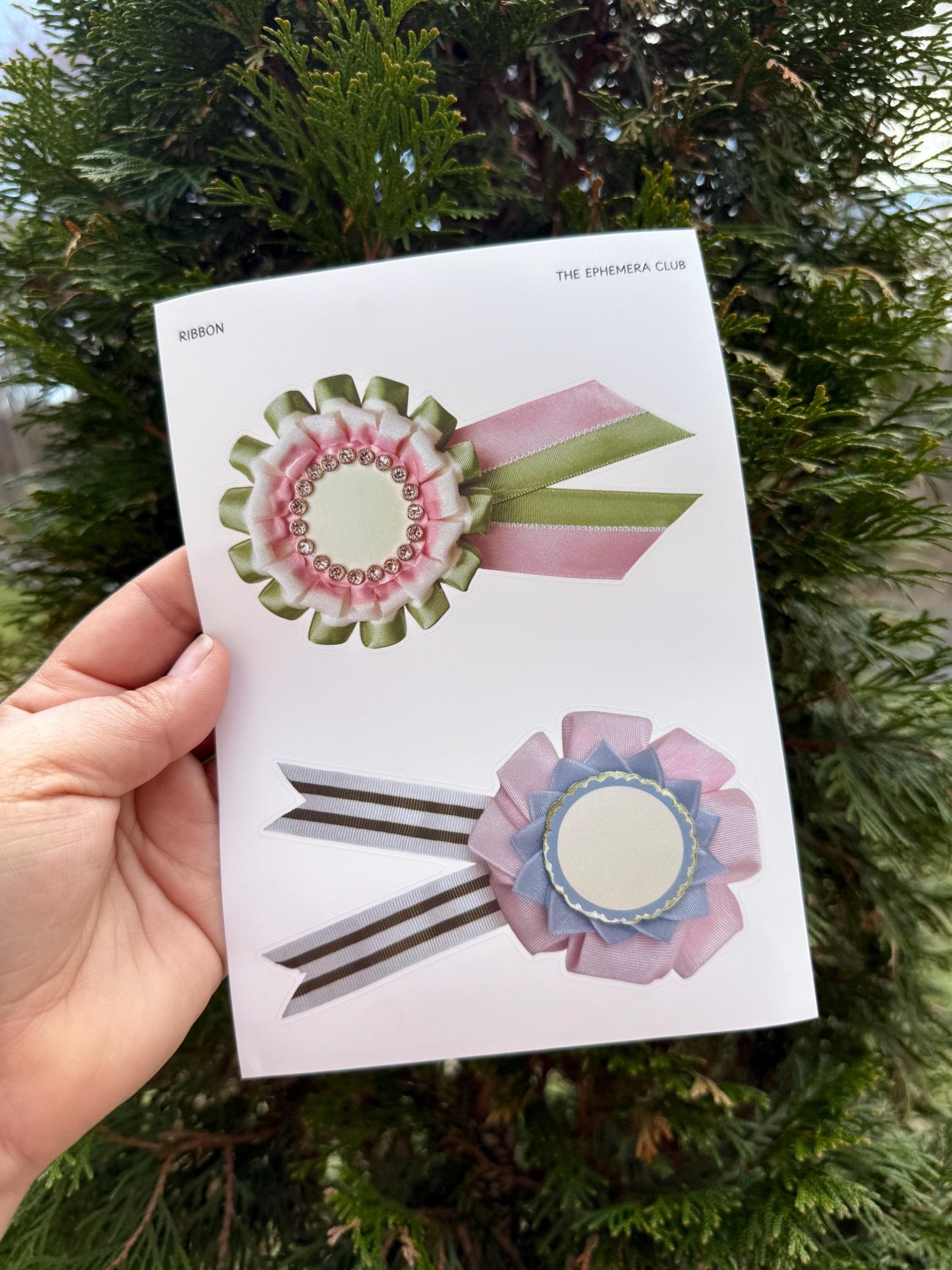 Ribbon Label Sticker Sheet