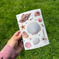 Seashell Sticker Sheet | Coastal Scrapbook Stickers | Beach Shell Ephemera | Ocean Journal Stickers | Summer Junk Journal Supplies