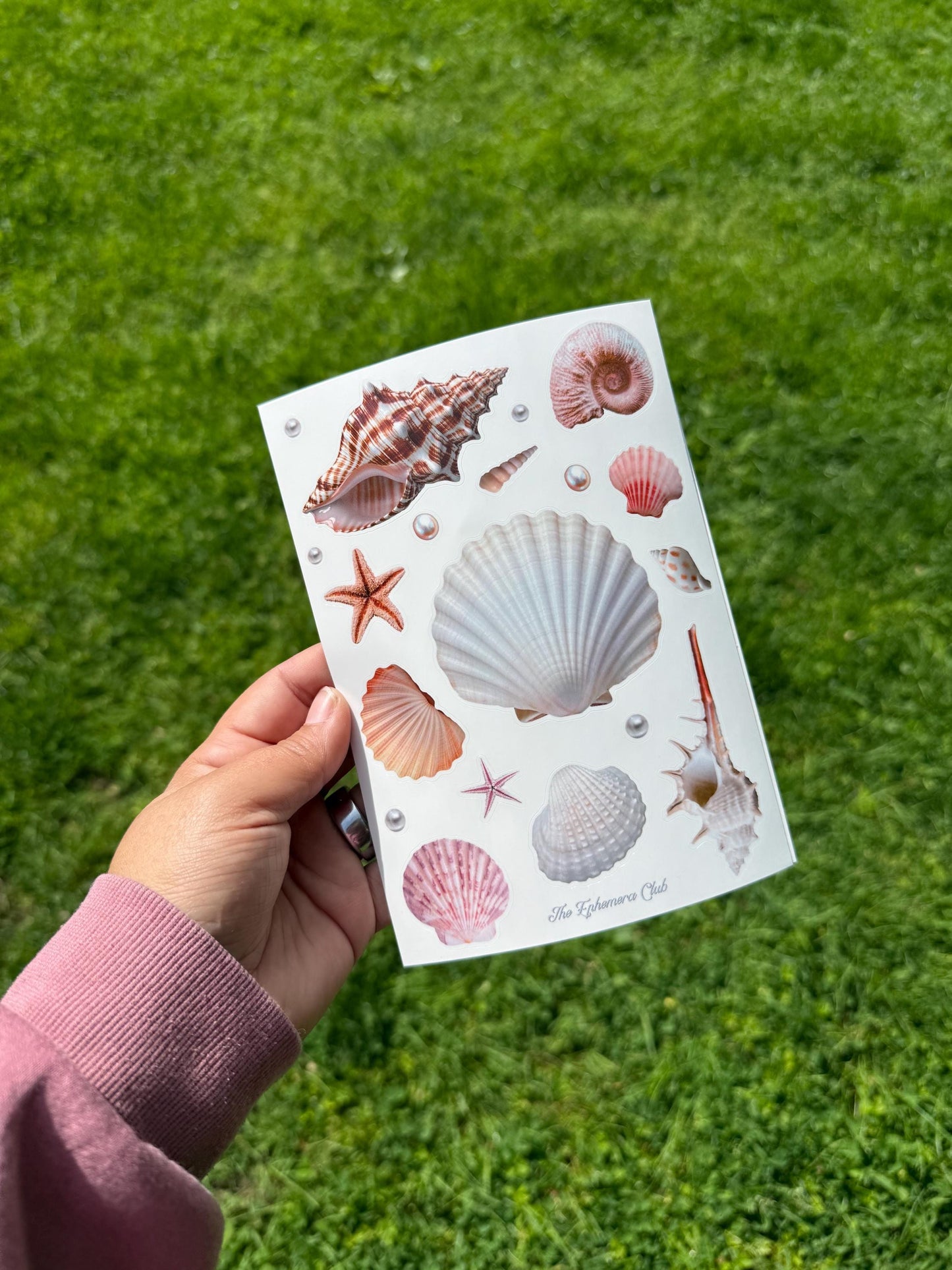 Seashell Sticker Sheet | Coastal Scrapbook Stickers | Beach Shell Ephemera | Ocean Journal Stickers | Summer Junk Journal Supplies