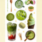 Matcha Sticker Sheet